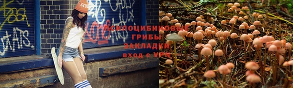 первитин Мегион