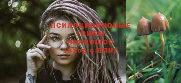 мдпв Медногорск